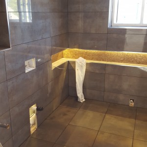 porcelanosa Bathroom Renewal