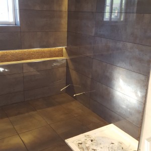 porcelanosa Bathroom Renewal