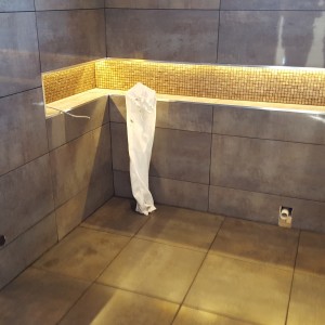 porcelanosa Bathroom Renewal