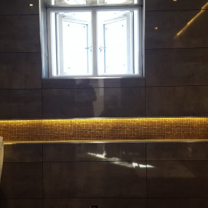 porcelanosa Bathroom Renewal