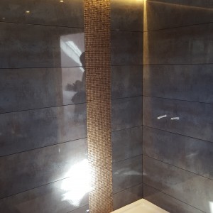 porcelanosa Bathroom Renewal