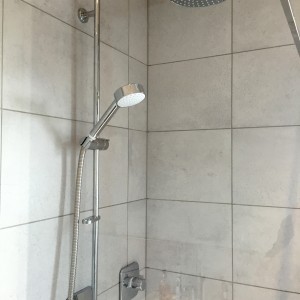 Mira Adept Shower