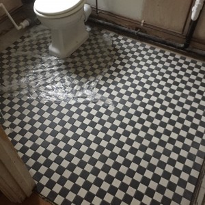 Victorian mosaic bathroom floor