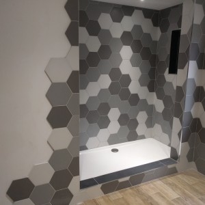 Main Shower Picture