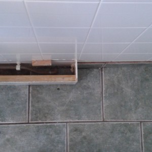 damp floor
