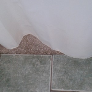 shower curtain over floor