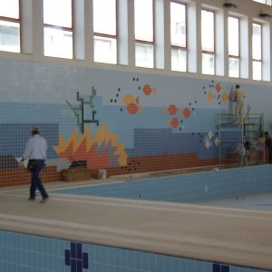 Olympic swimming pool