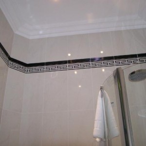 shower wall ceiling