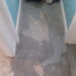 IMG-20170405-WA0011.jpeg