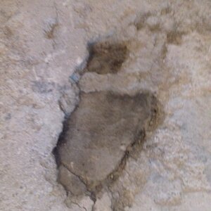 IMG-20170405-WA0009.jpeg