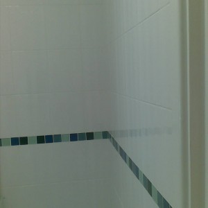 Disabled Toilets1