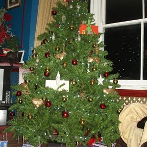 Xmas Tree opt