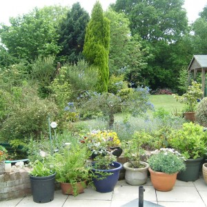 Garden 20052011