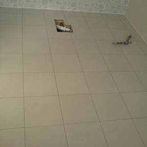 Imported Photos 00308