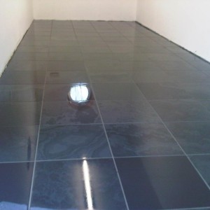 IMG00045 20111122 0939