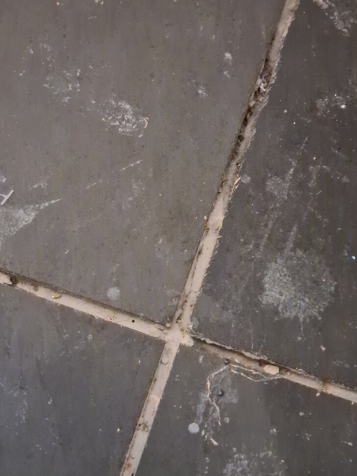 20200924_185451.jpg