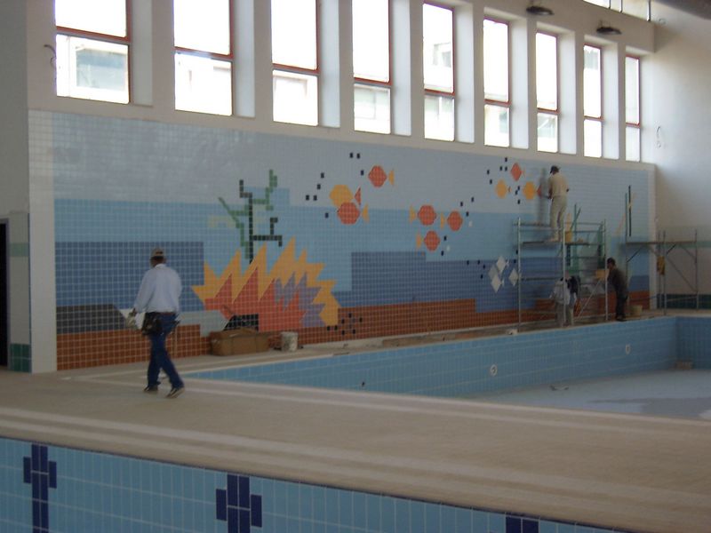 Olympic swimming pool