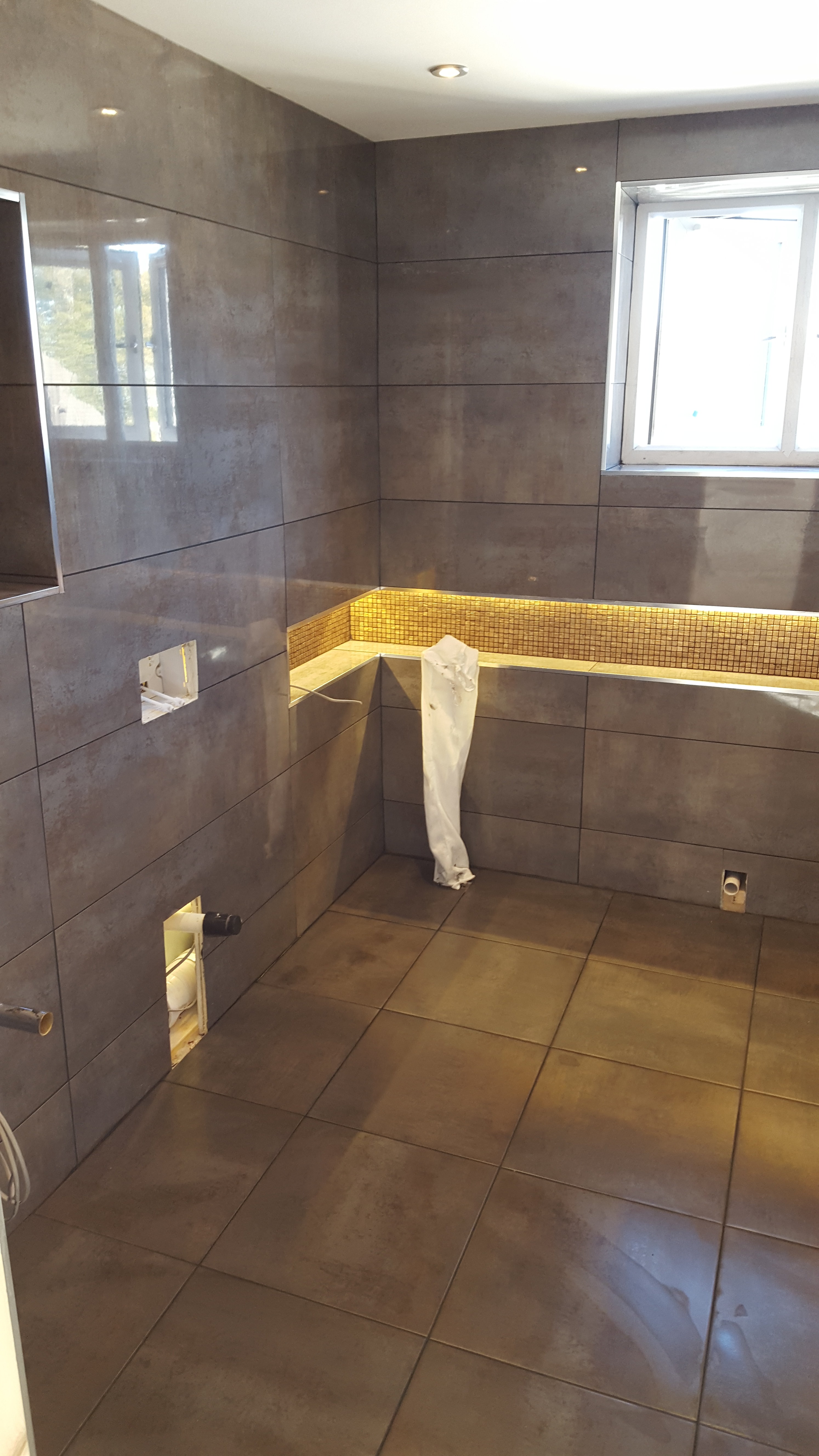 porcelanosa Bathroom Renewal