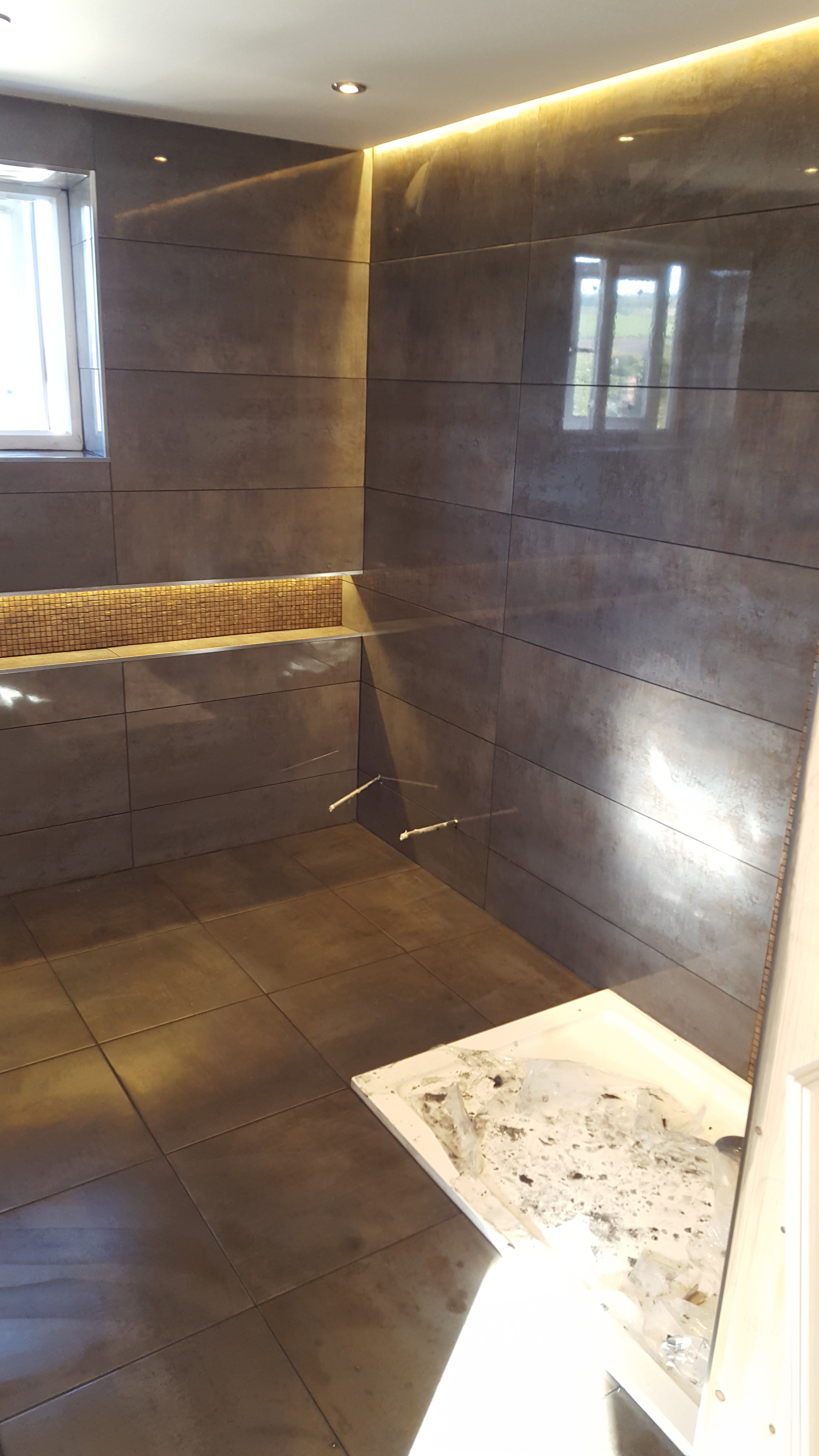 porcelanosa Bathroom Renewal