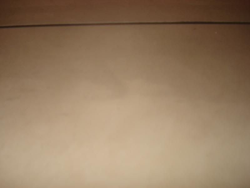 DSC03225.jpg