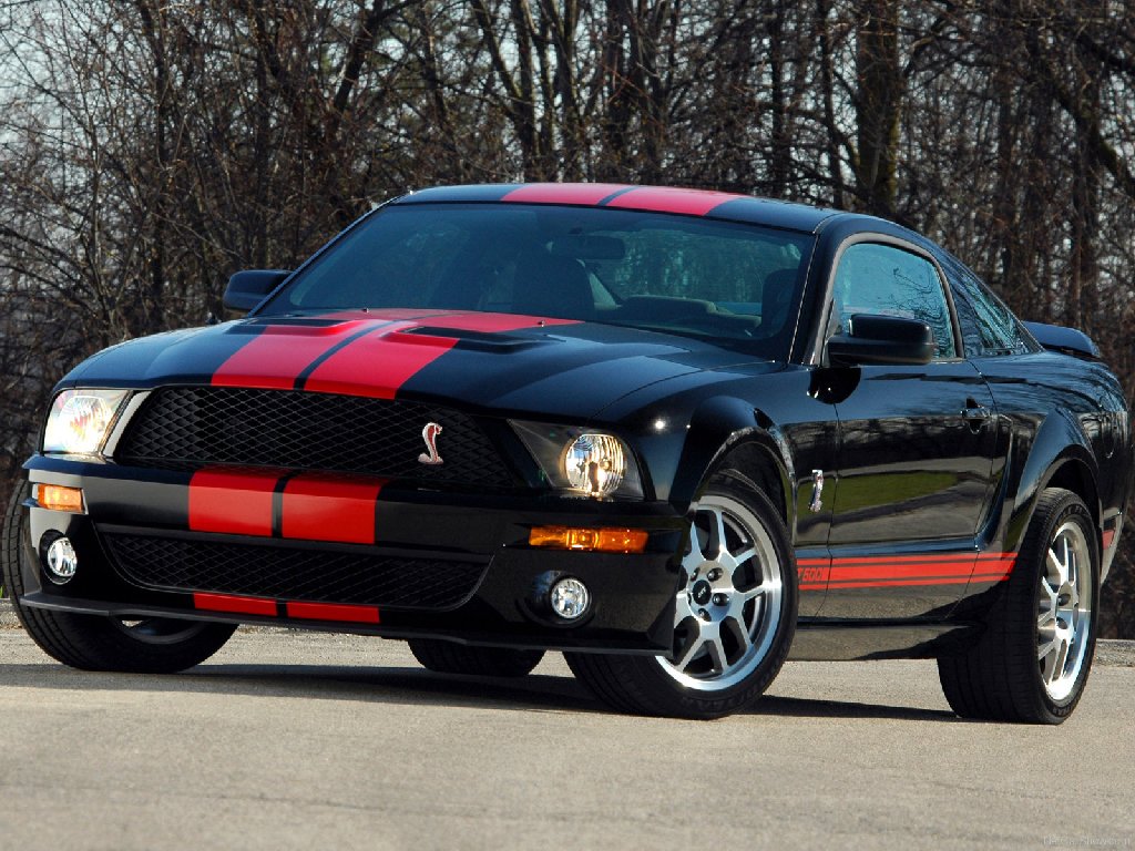ford-mustang-shelby-gt500-red-stripe-2007-03.jpg