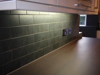 P1010293-1.jpg