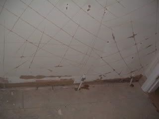 DSCF1087.jpg