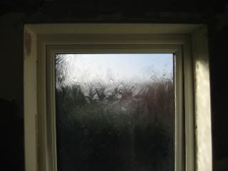 IMG_1062.jpg