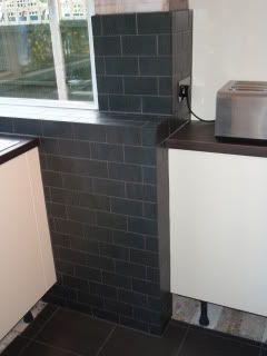 P1010294-1.jpg
