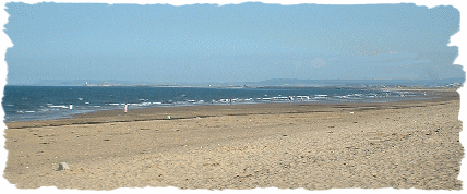 saetoncarew.gif