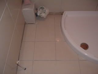 DSCF1054.jpg