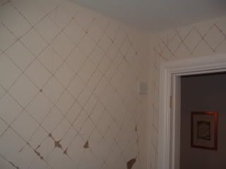 DSCF1088.jpg