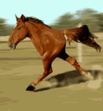 th250734433.gif