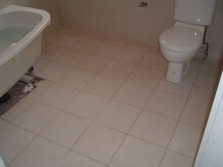 DSCF0782.jpg