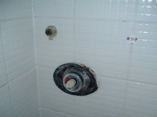DSCF1003.jpg